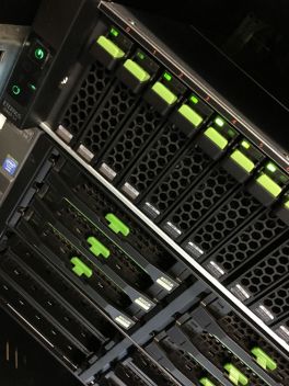 Hosting / Server Hosting / Server